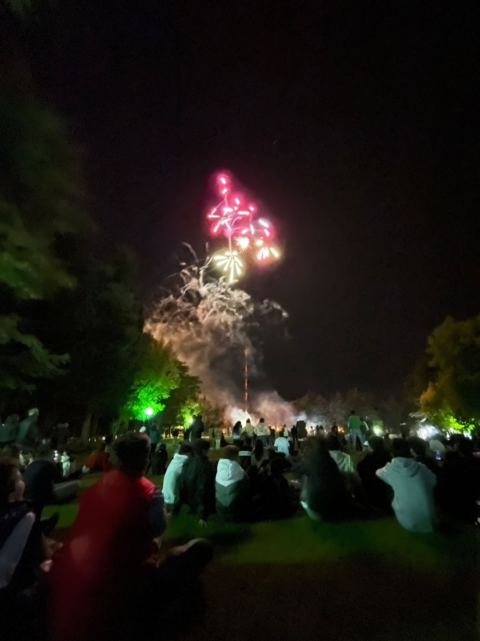 Fuegos artificiales en el alto de La Dehesa en las Fiestas de San Saturio 2022.