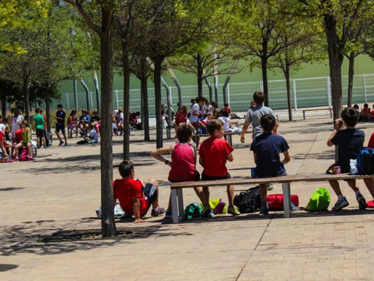 40.000 funcionarios aragoneses tienen que demostrar que no han cometido delitos sexuales