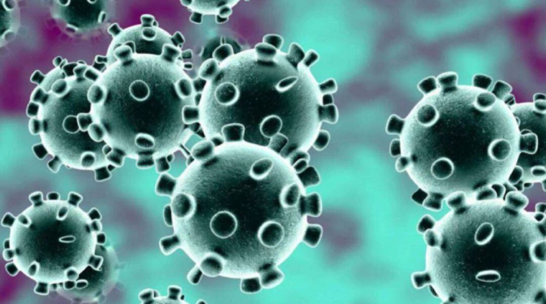 7 fallecimientos con coronavirus y 782 casos positivos en las últimas 24 horas en la provincia