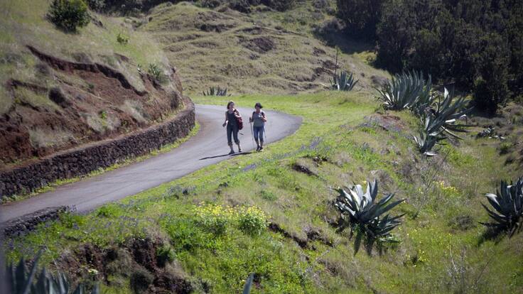 Un recorrido por las 4 islas que ya están en la Fase 1