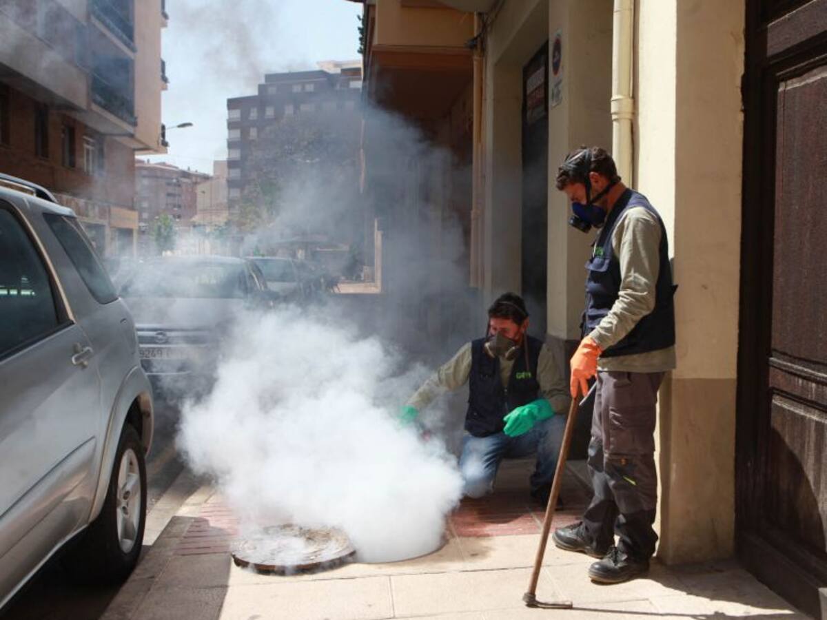 Multas de hasta 3.000 euros para prevenir la plaga del mosquito tigre