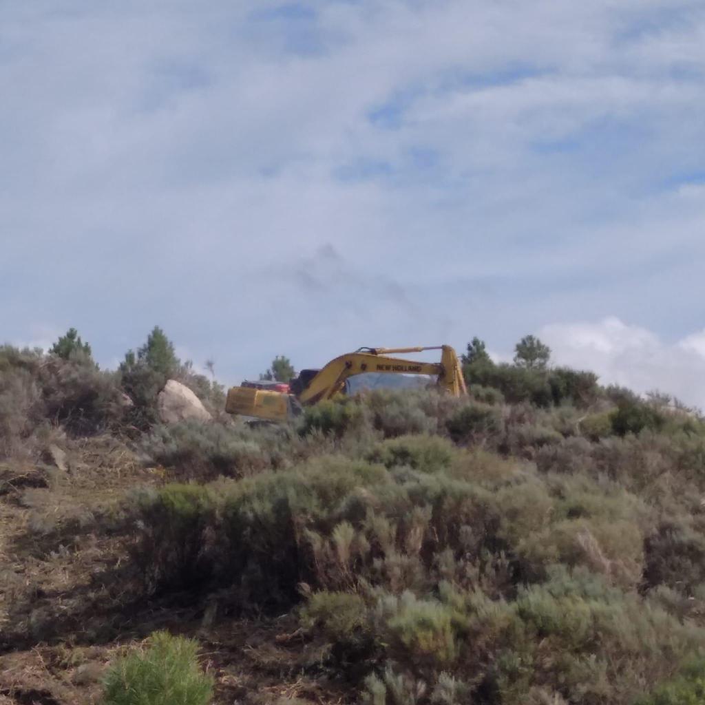 Zona donde se están realizando los trabajos para la reforestación