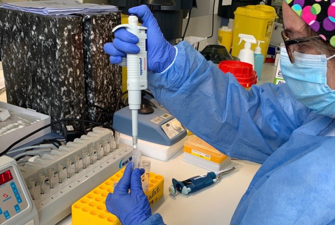 Prueba PCR en el Hospital Mateu Orfila de Mahón.