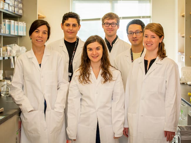 Laboratorio de Judith Agudo, en el Dana-Farber Cancer Institute de la Universidad de Harvard, en Boston