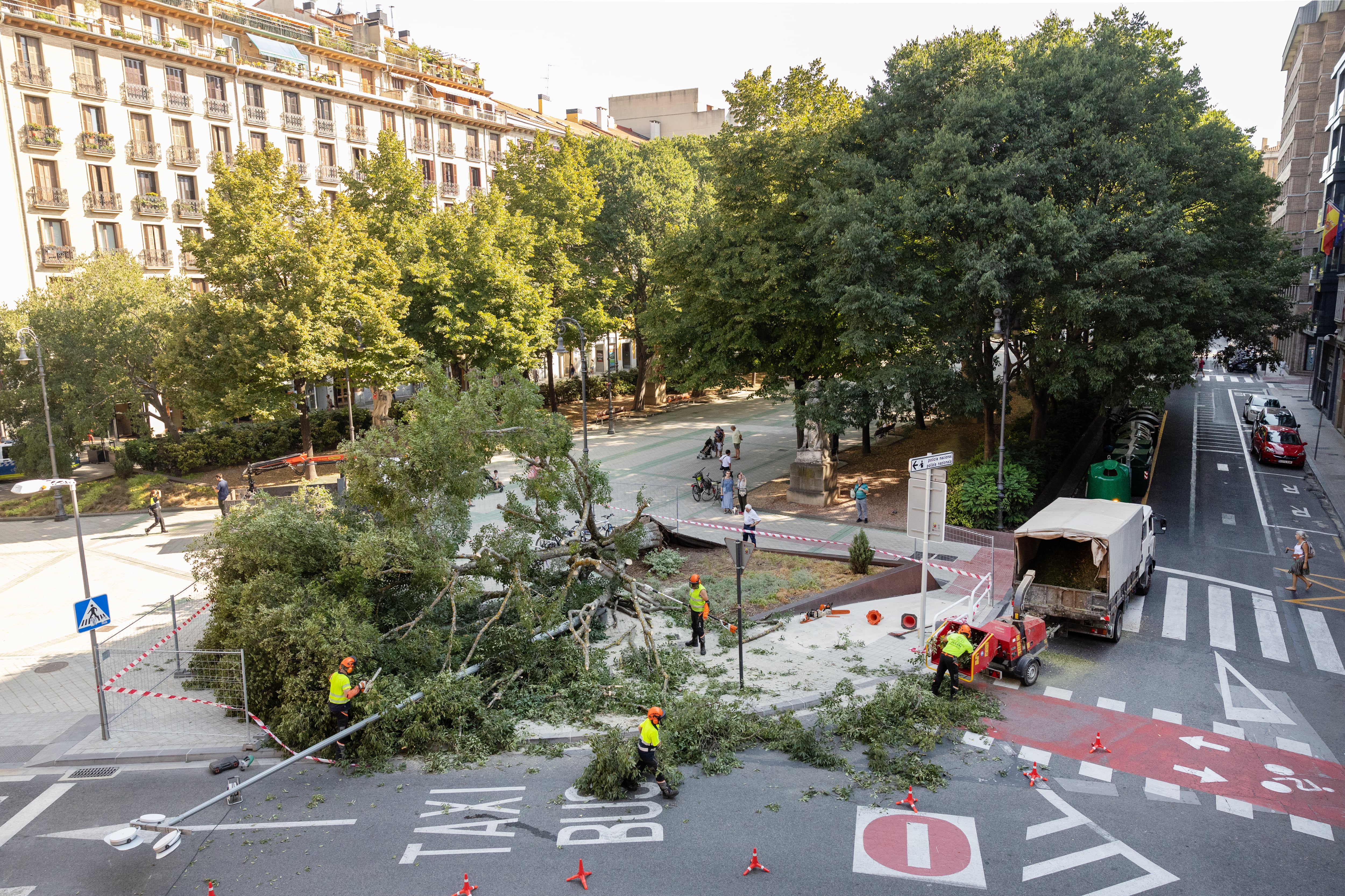 Cae un árbol de gran tamaño en el Paseo de Sarasate de Pamplona sin causar heridos