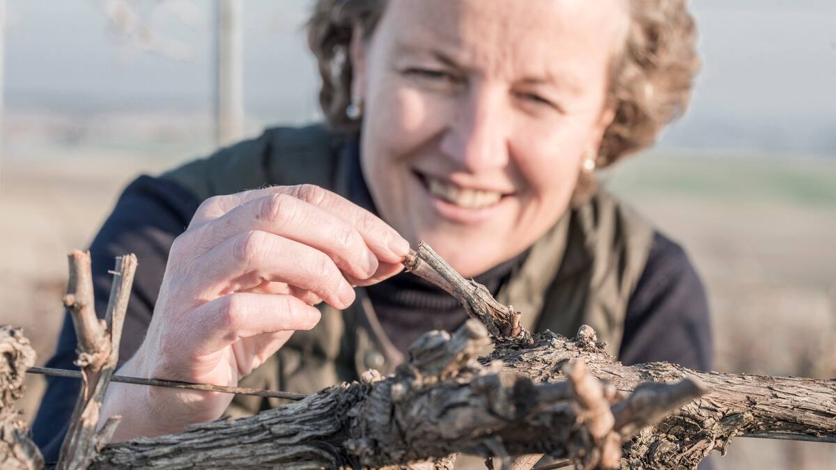 Con una copa de vino en la ser: Inicio de la vendimia en las Bodegas Barbadilloi