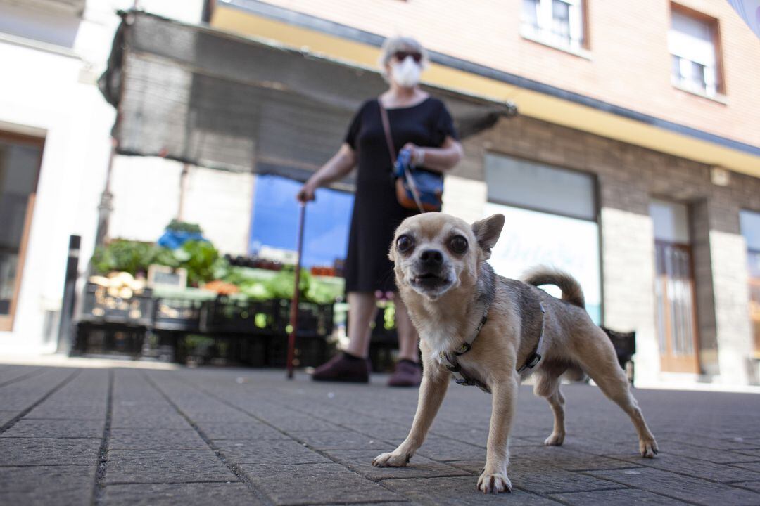 Una mujer pasea con su perro por Noreña.