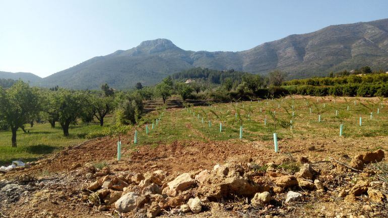 Paisaje del interior de la Marina Alta.