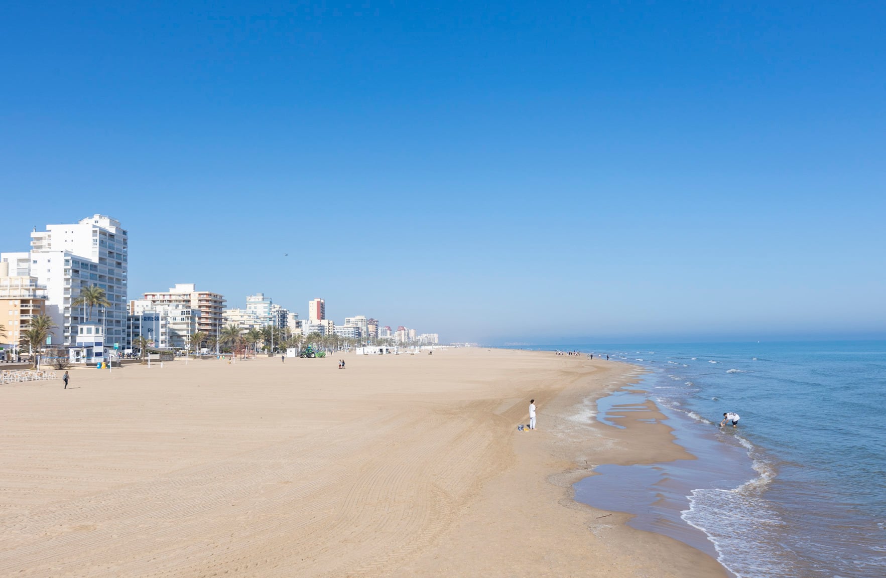 Platja Nord de Gandia limpia tras la retirada de dos mil toneladas de residuos vegetales.