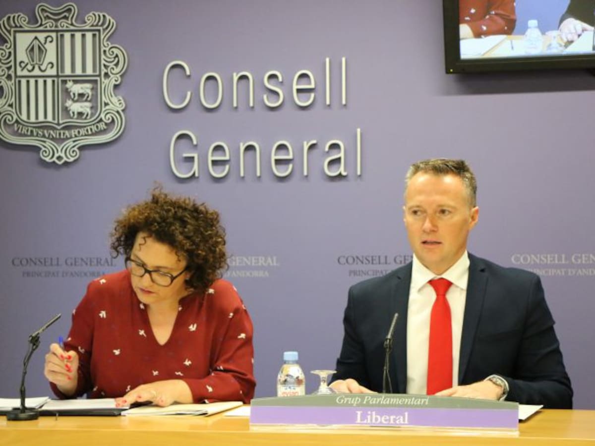 Els liberals presenten un text alternatiu a la llei de l'Esport