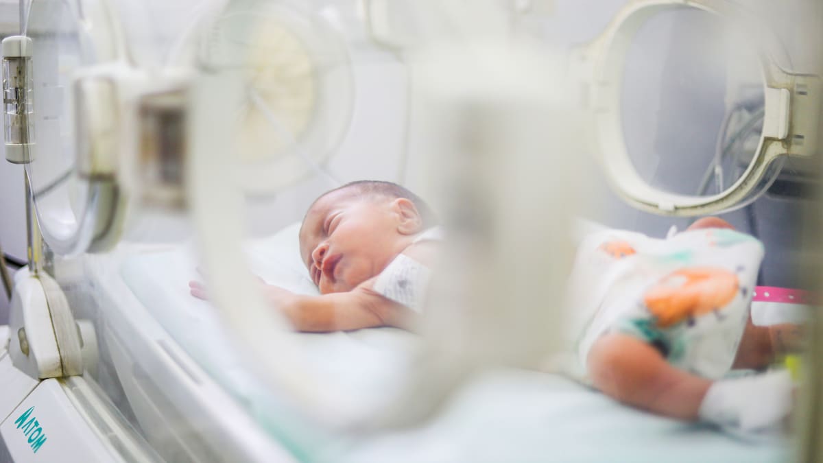Incubadoras cien veces más baratas que salvan vidas