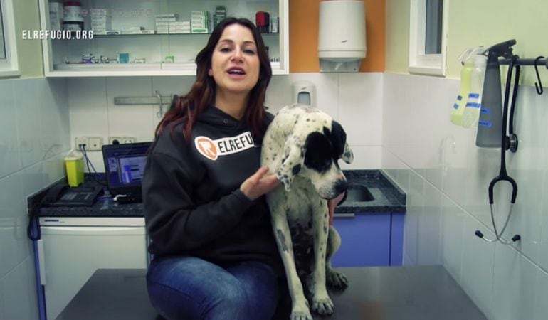 La campaña de vacunación se desarrolla en mayo y junio