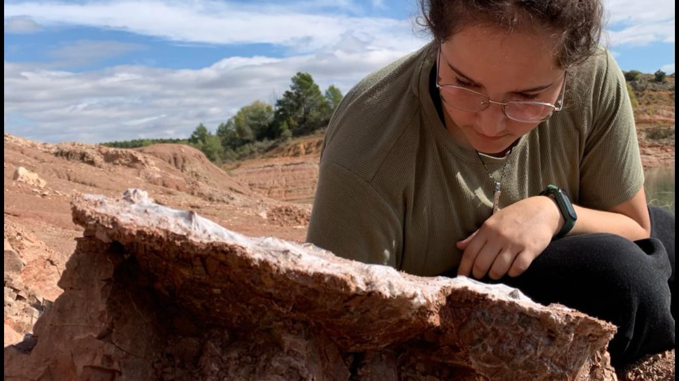 Excavación en las nidificaciones de dinosaurios de Poyos, en el embalse de Buendía, entre las provincias de Cuenca y Guadalajara.