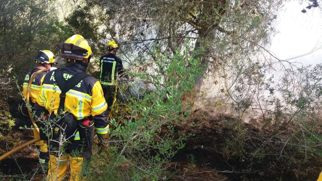 Imagen del incendio forestal controlado por los efectivos de emergencias.