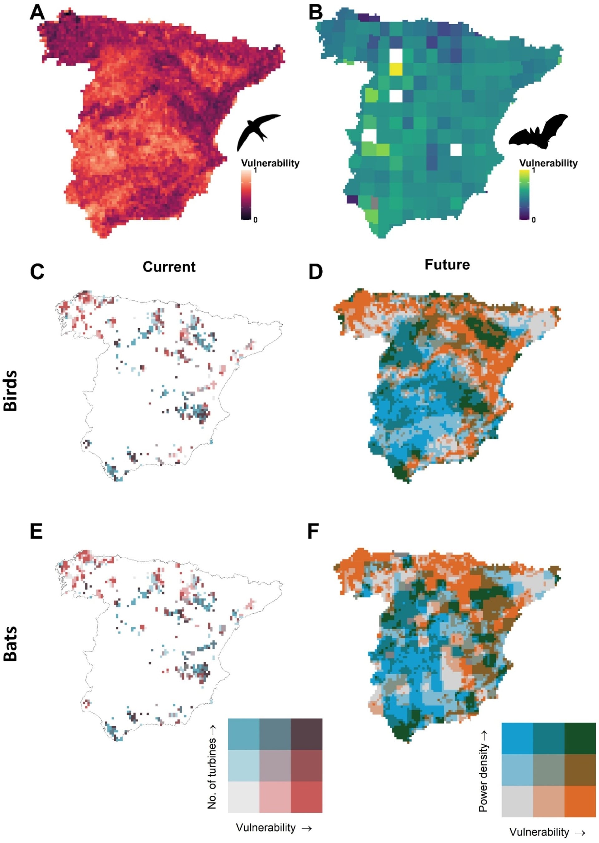 Infografía sobre el impacto de la energía eólica en las aves