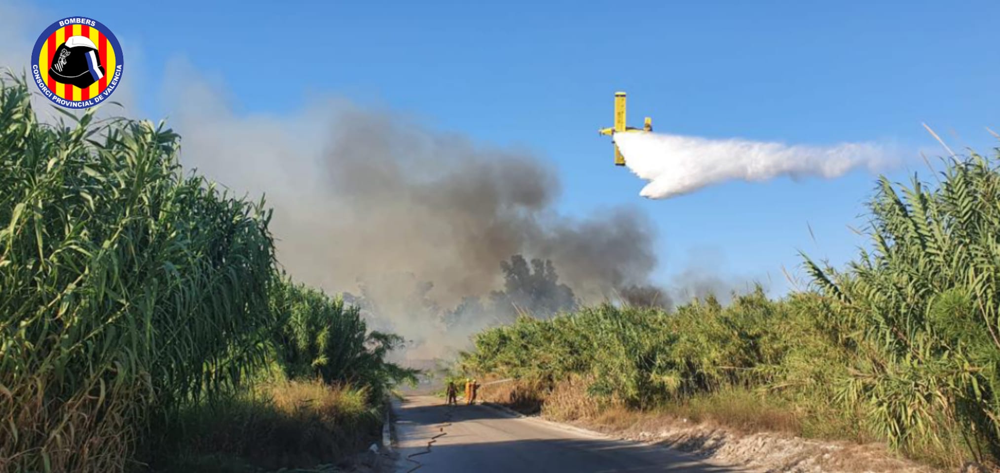 Imágenes del incendio en la zona de la Font Salada de Oliva