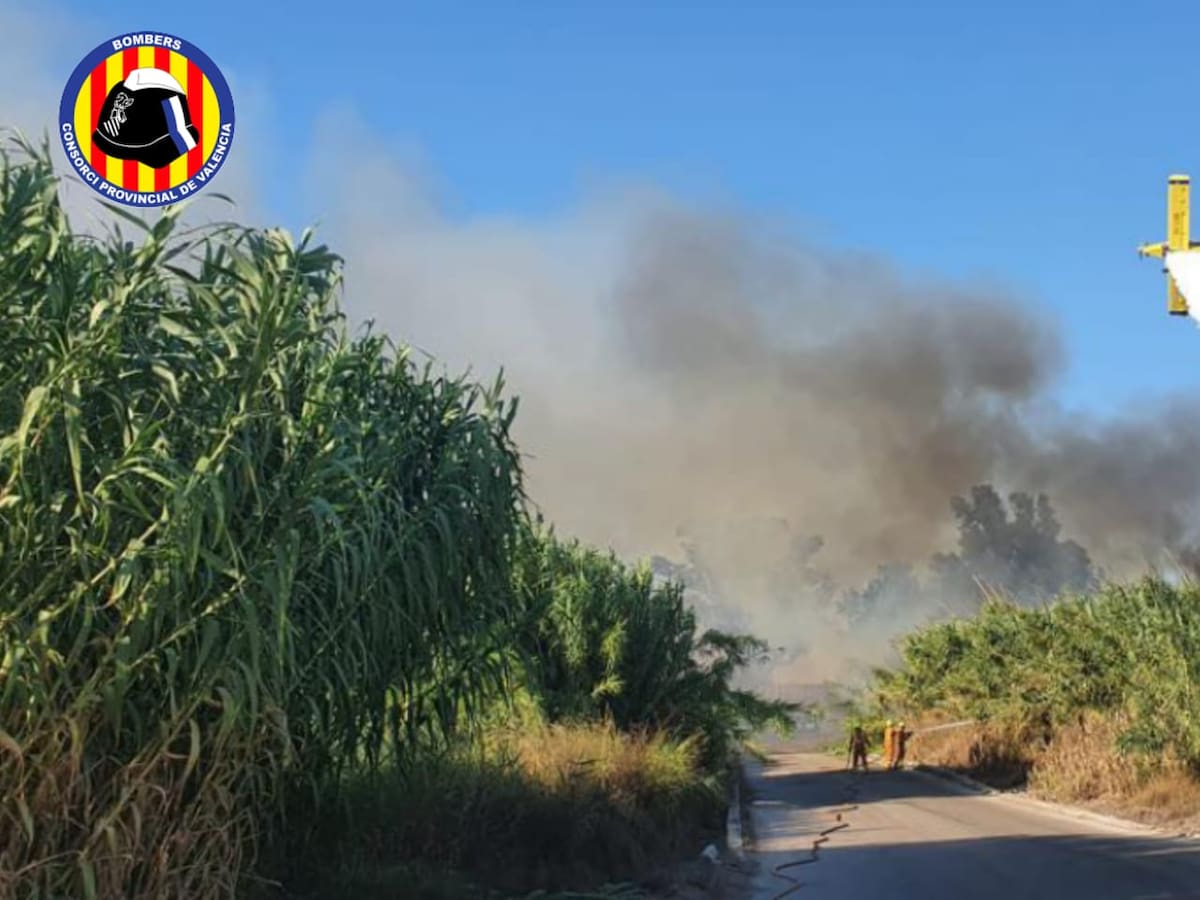 Oliva pone en marcha un protocolo de prevención de incendios