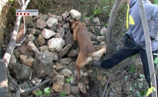 La unitat canina dels Mossos d&#039;Esquadra ha localitzat a Montjuïc l&#039;esquelet d&#039;una dona desapareguda el juliol