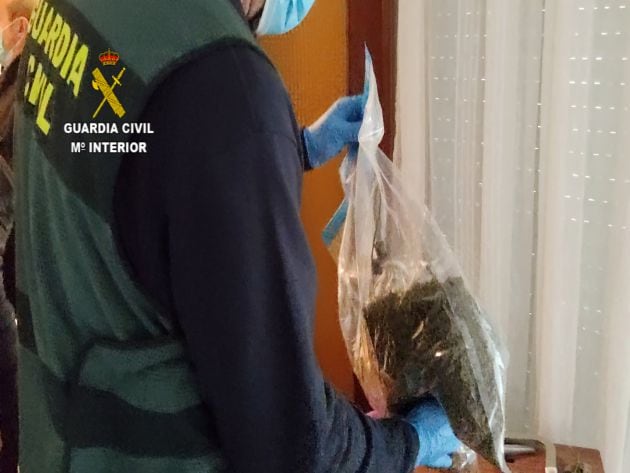 Bolsa con marihuana picada y seca