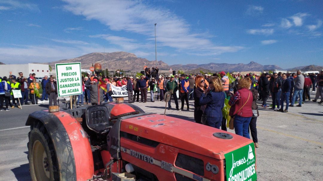 Tractorada de los agricultores de la provincia de Alicante en Monforte del Cid