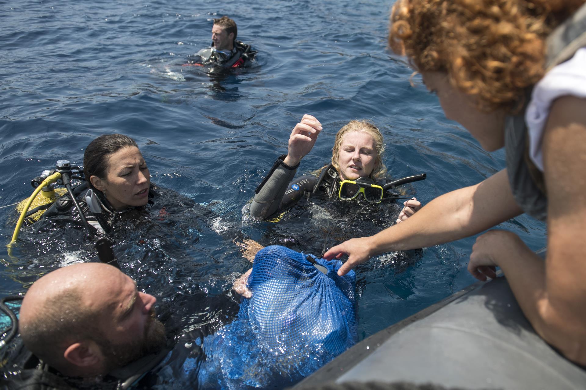La campaña de ciencia ciudadana '1m2 por las playas y los mares' del Proyecto Libera, de SEO/BirdLife en alianza con Ecoembes
