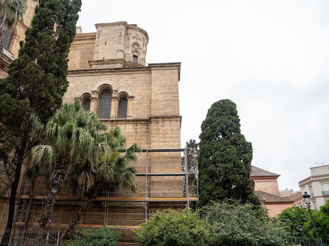Instalación de andamios en la Catedral