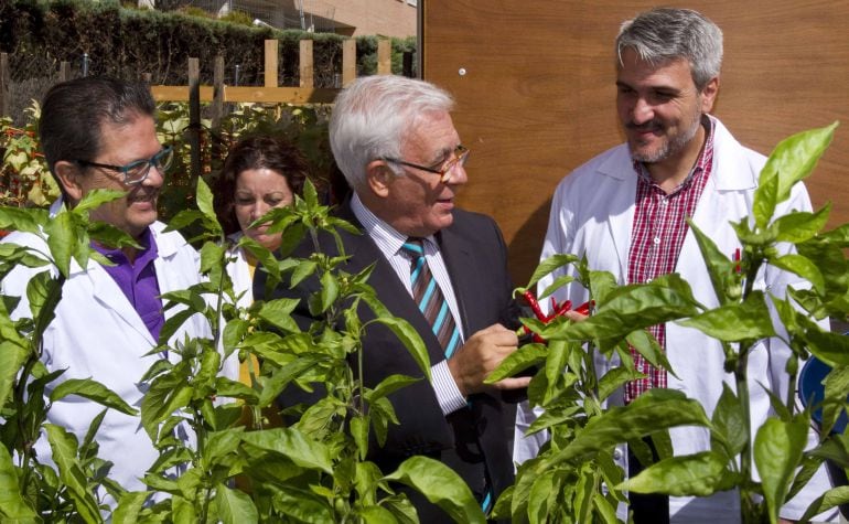 El Consejero de Sanidad, Jesús Sánchez Martos, durante una visita al centro