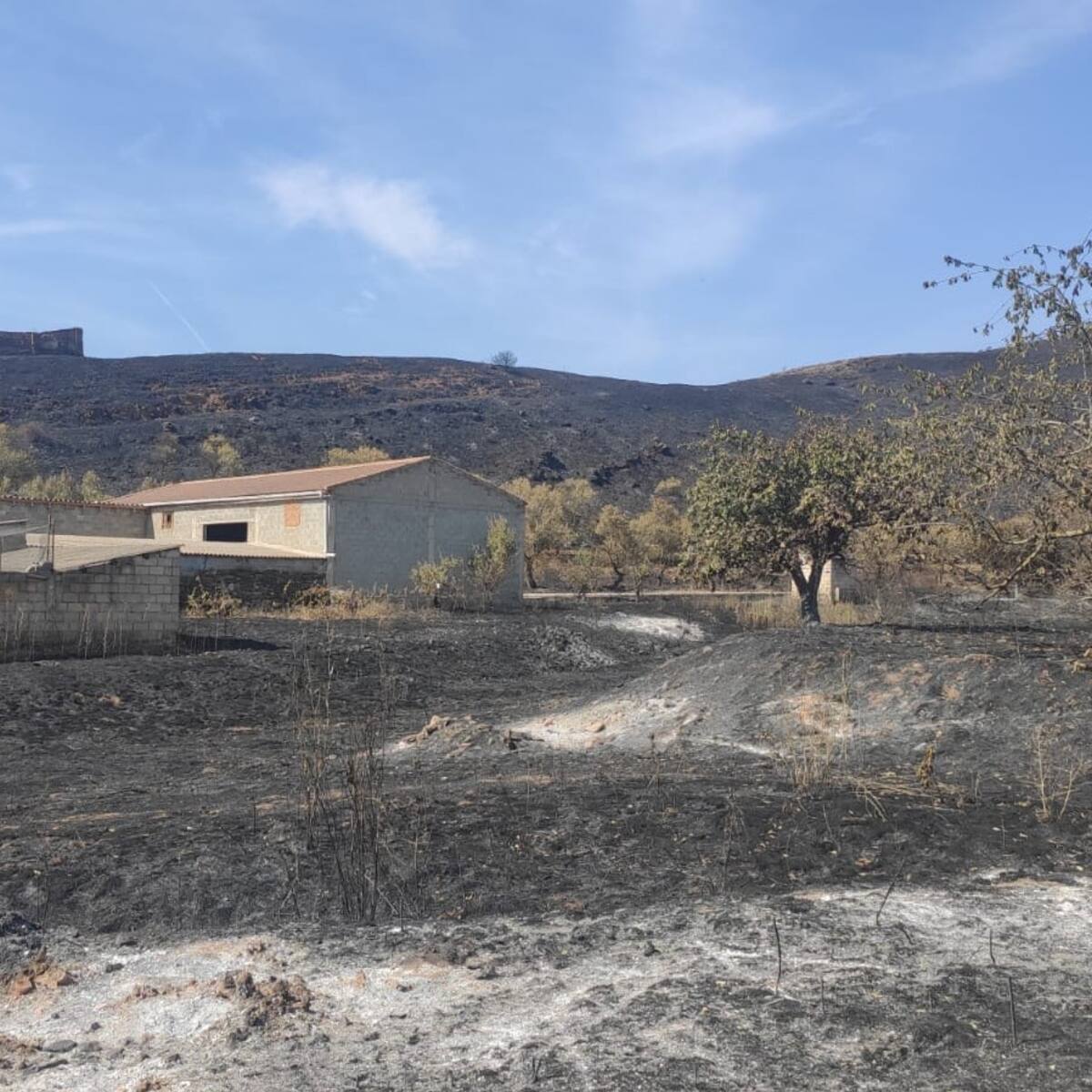 El regreso a Moros desata las emociones