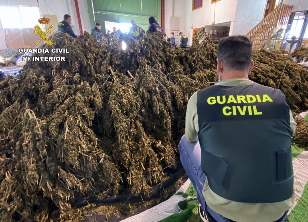 Parte de la marihuana aprehendida