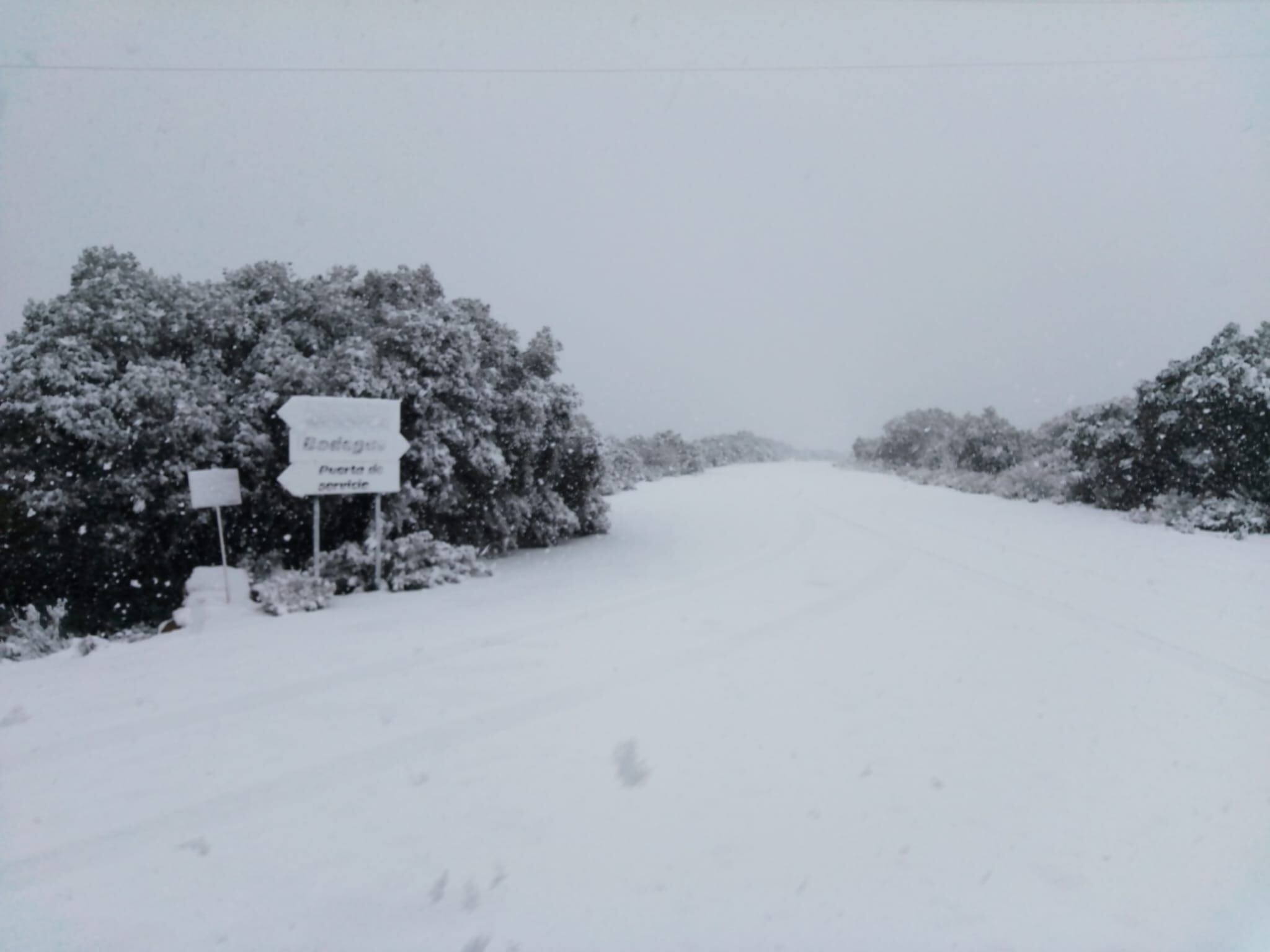 Nieve en Munera