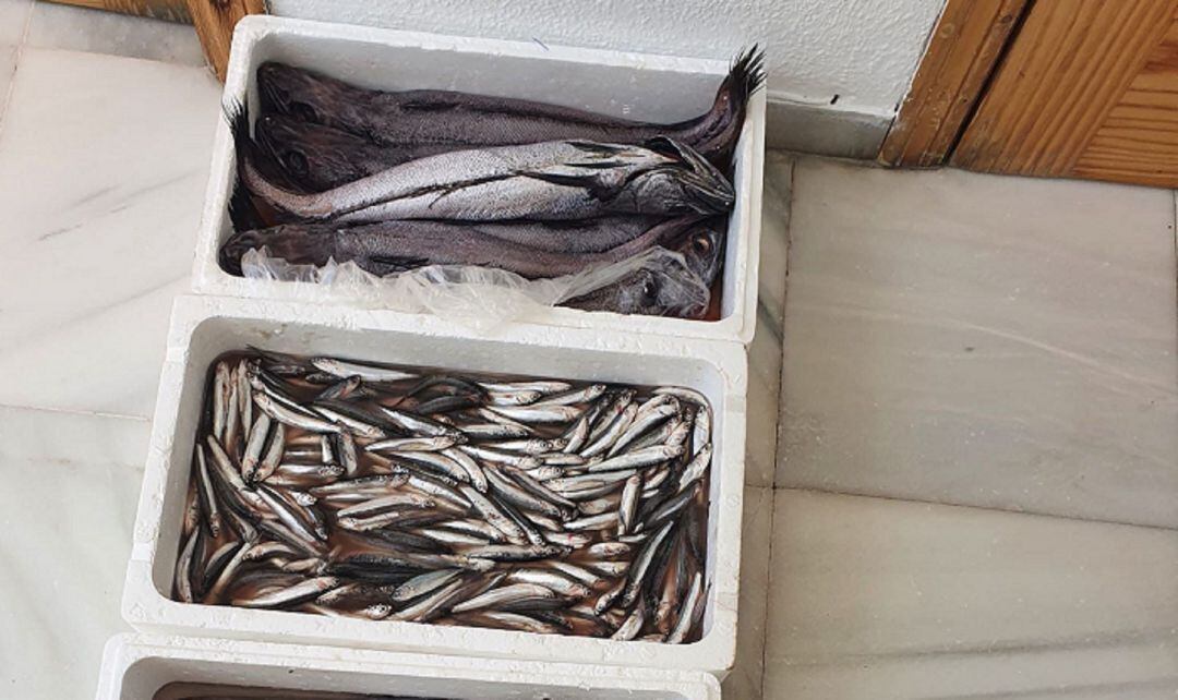 Pescado intervenido por la Policía.