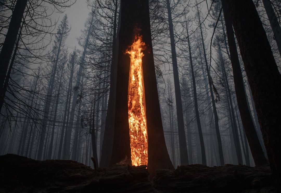 Incendio forestal en California (EEUU).