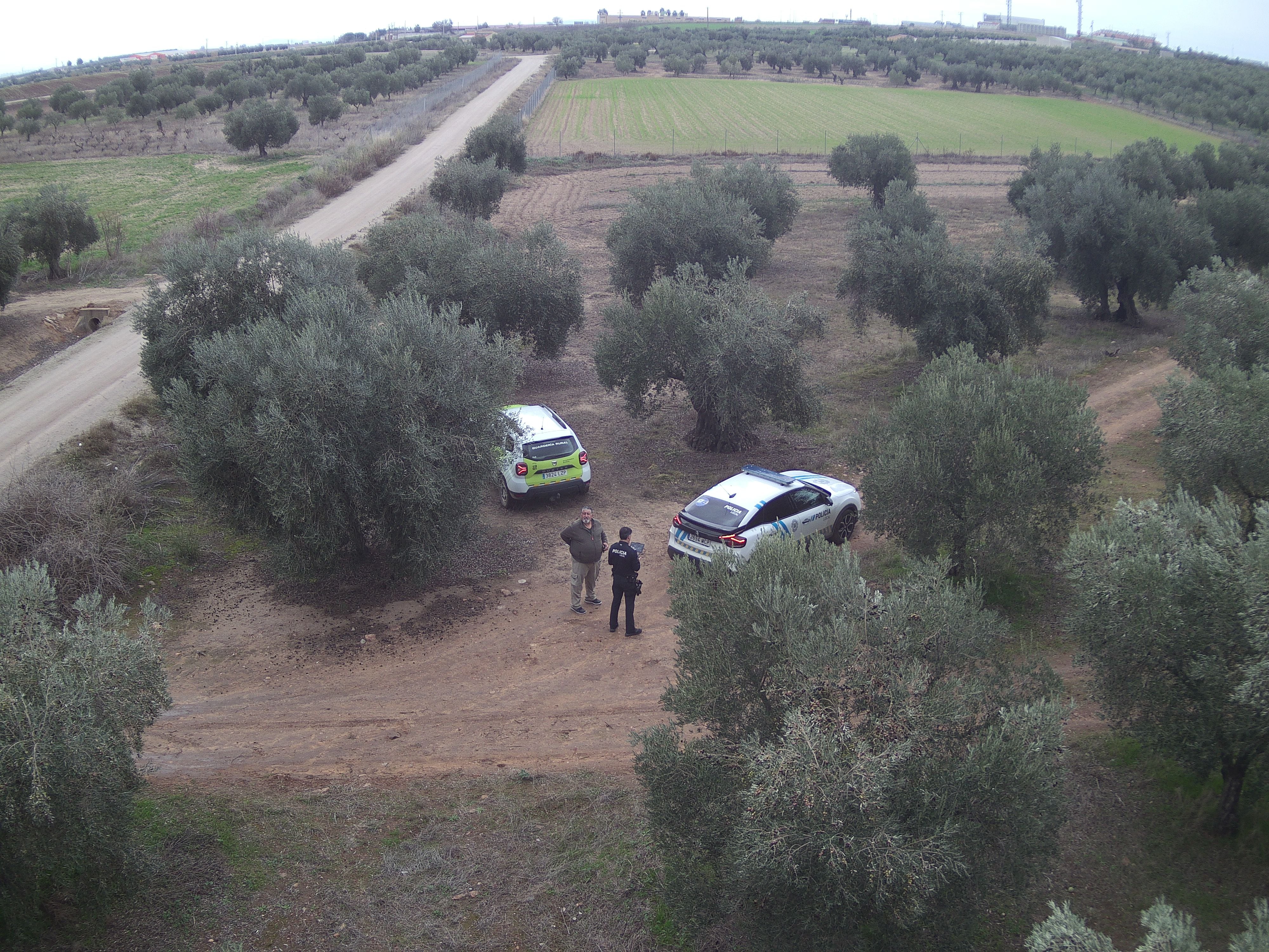Continúan los vuelos de dron de la Policía Local de Villanueva para vigilar los campos durante la campaña de la aceituna