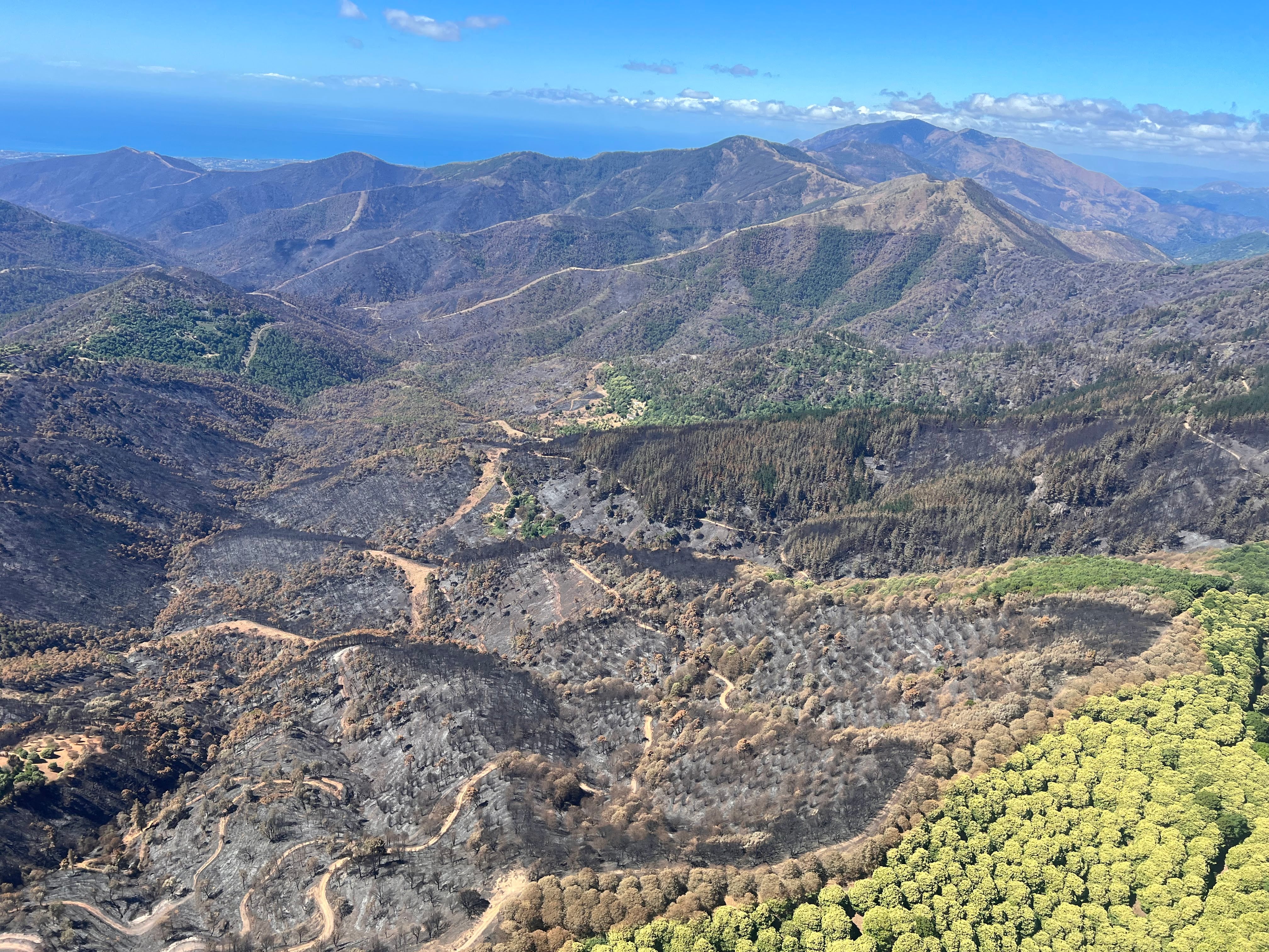 Vista aérea de los daños provocados por el incendio forestal de Pujerra