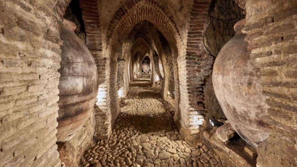 Varias bodegas de Méntrida (Toledo) se plantan por el estado de los caminos: no participarán en la Feria del Vino