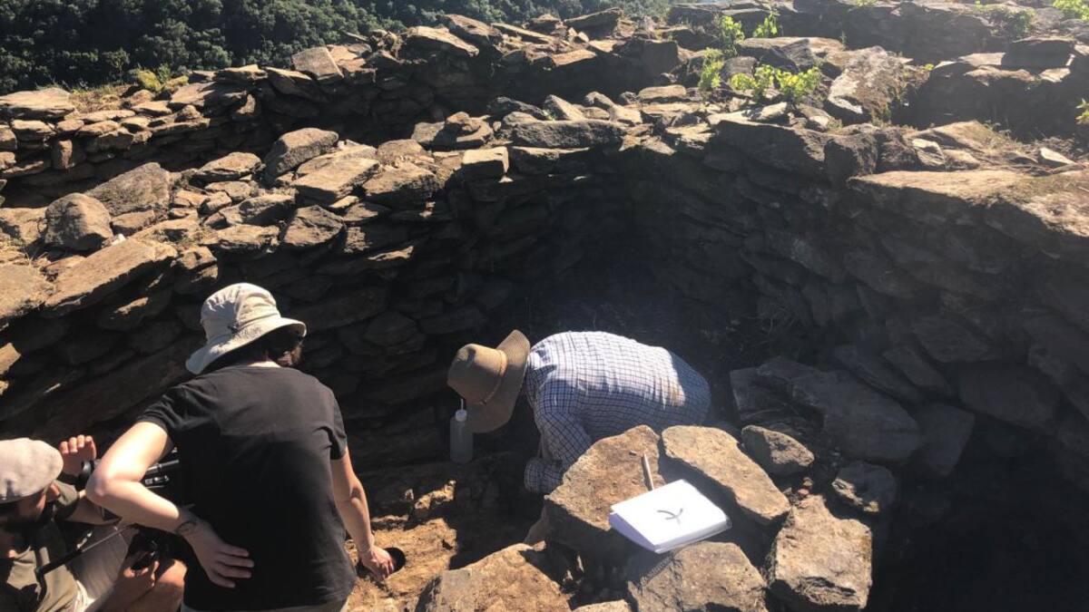 Terra Levis junio 2019