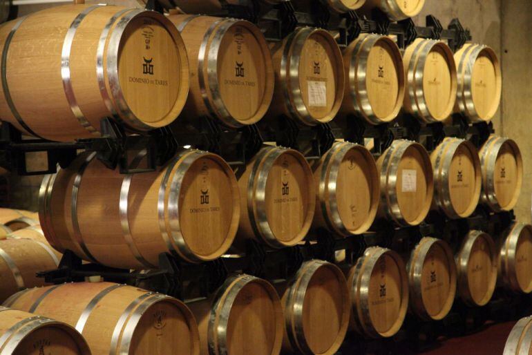 Barricas en la bodega