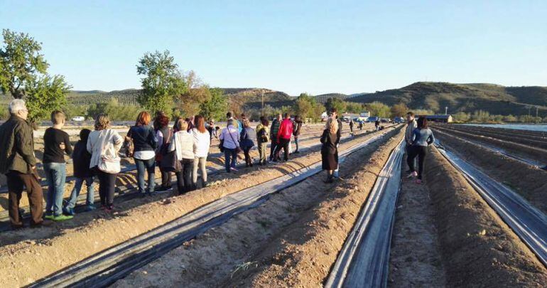 Varias personas visitan una plantación de espárragos en una edición anterior de la feria.