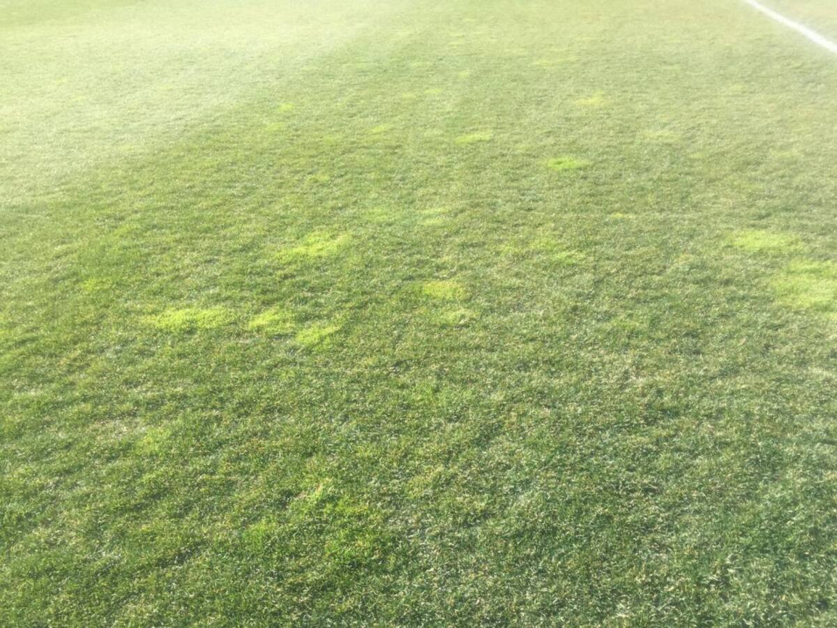 El Málaga se queja del césped del Cerro del Espino