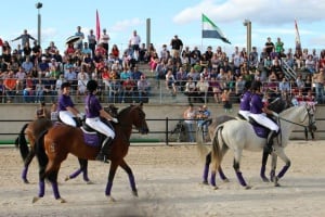 El gusto por los caballos es evidente, el público abarrota las gradas