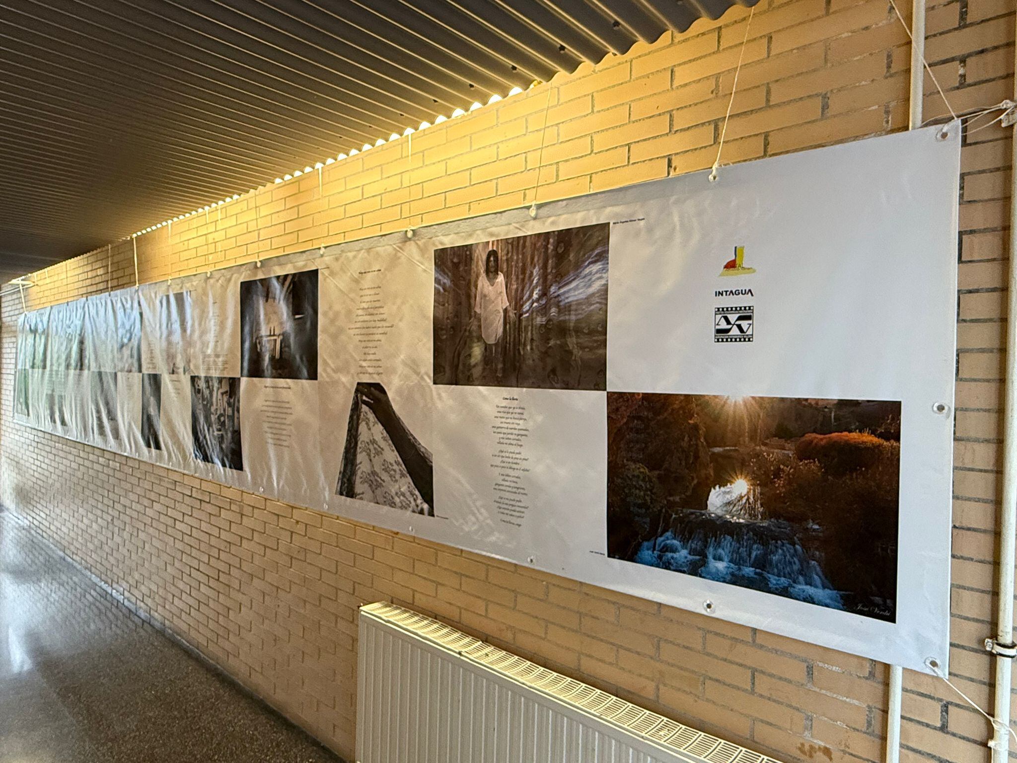 Exposición Portal Amalio Gran