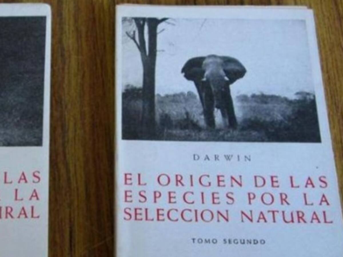 La evolución tardó en llegar a España