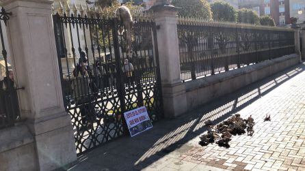 Cadáver de una oveja colgando de la reja del Palacio de Gobierno y varios cadáveres de animales en el suelo de la entrada principal