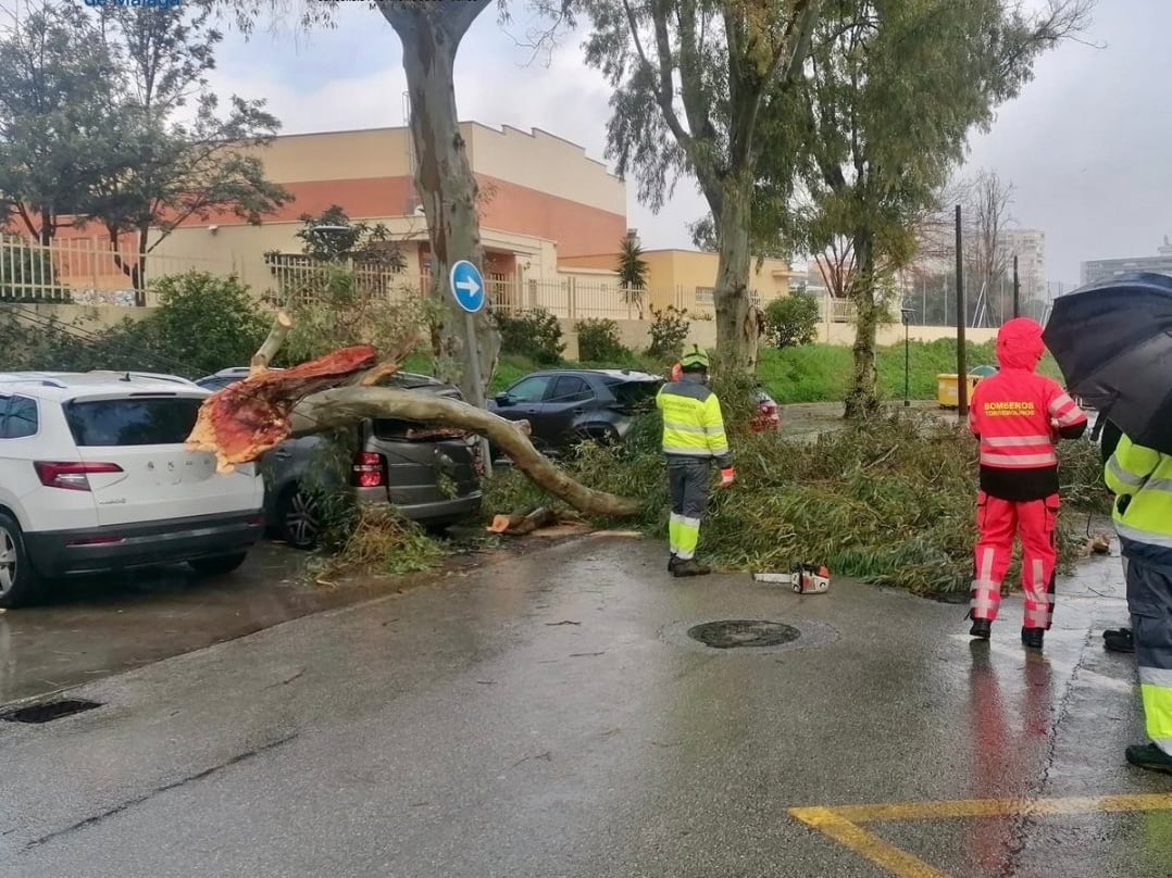Estragos de las borrascas en la provincia de Málaga