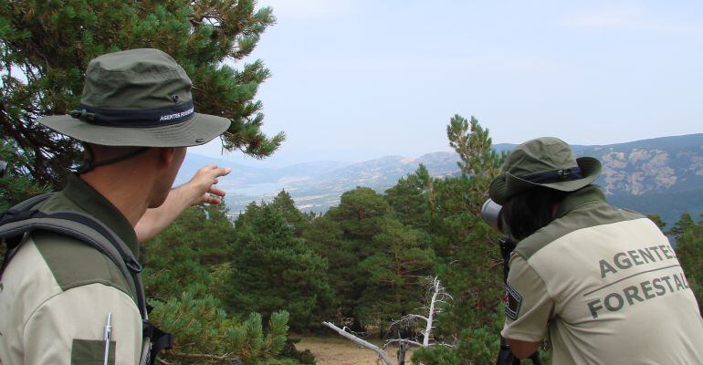 Agentes Forestales en la sierra de Guadarrama