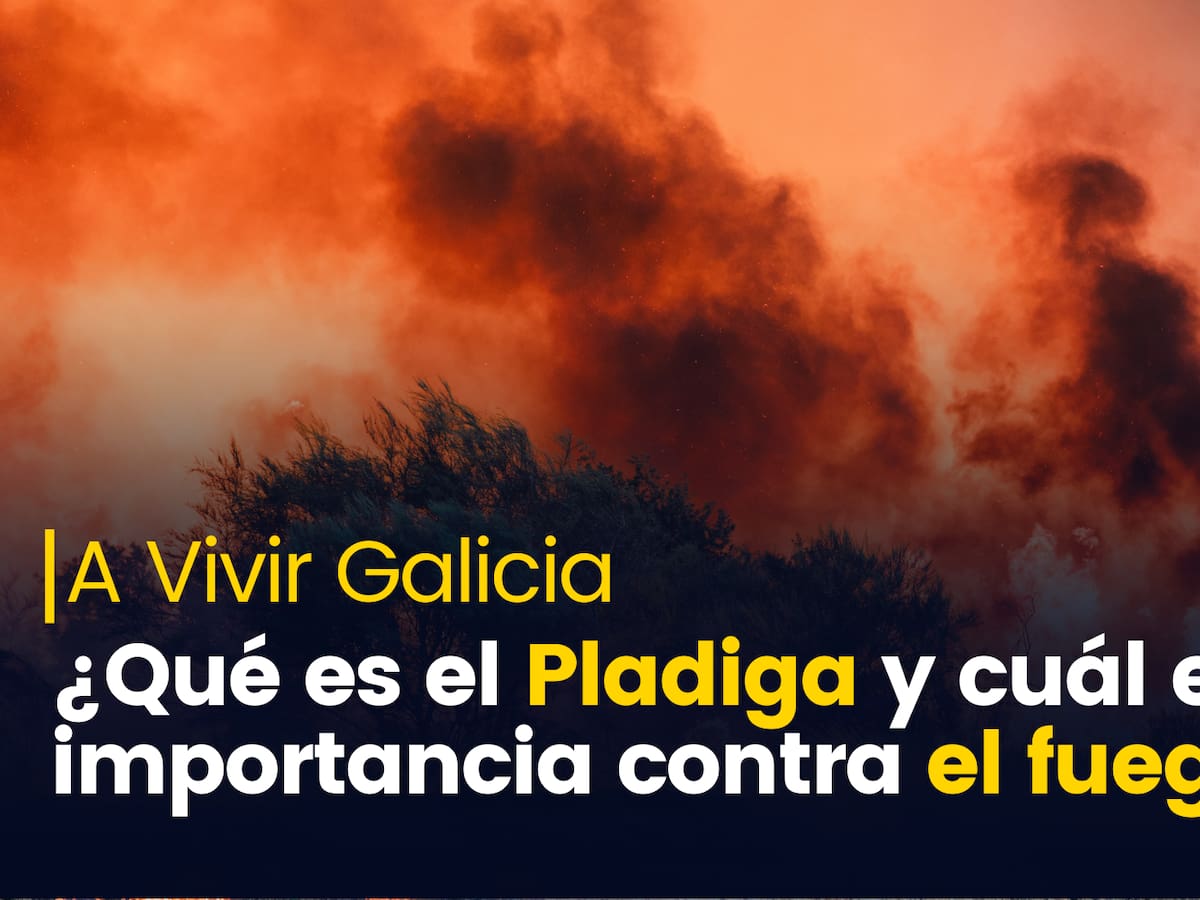 El nuevo Pladiga, ¿suficiente para evitar otro verano negro?