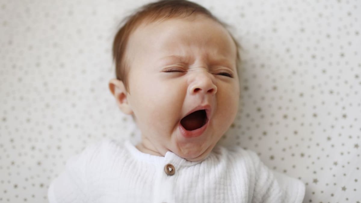 Debate entre Dani Mateos y Víctor Guillot 01.07.21