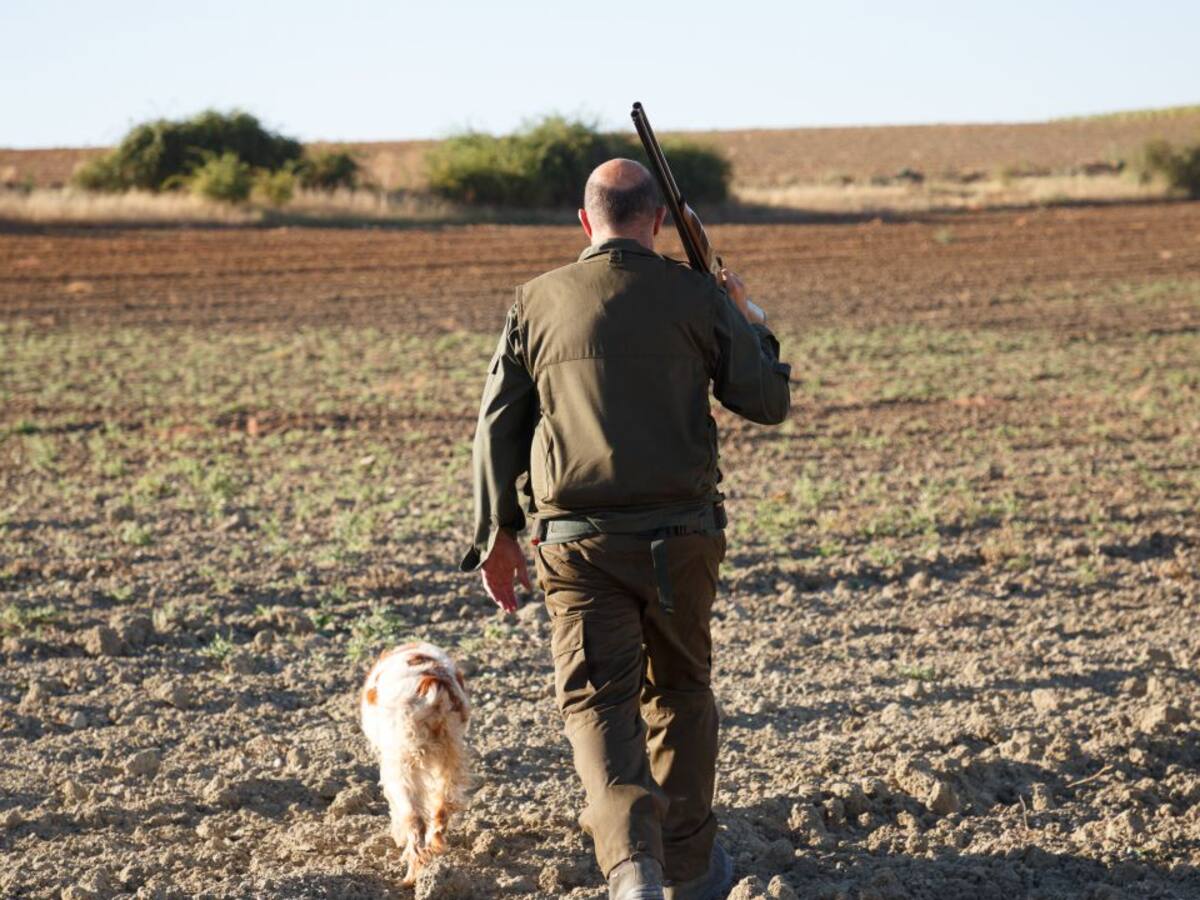 La justicia paraliza también la Orden de Caza en Castilla y León