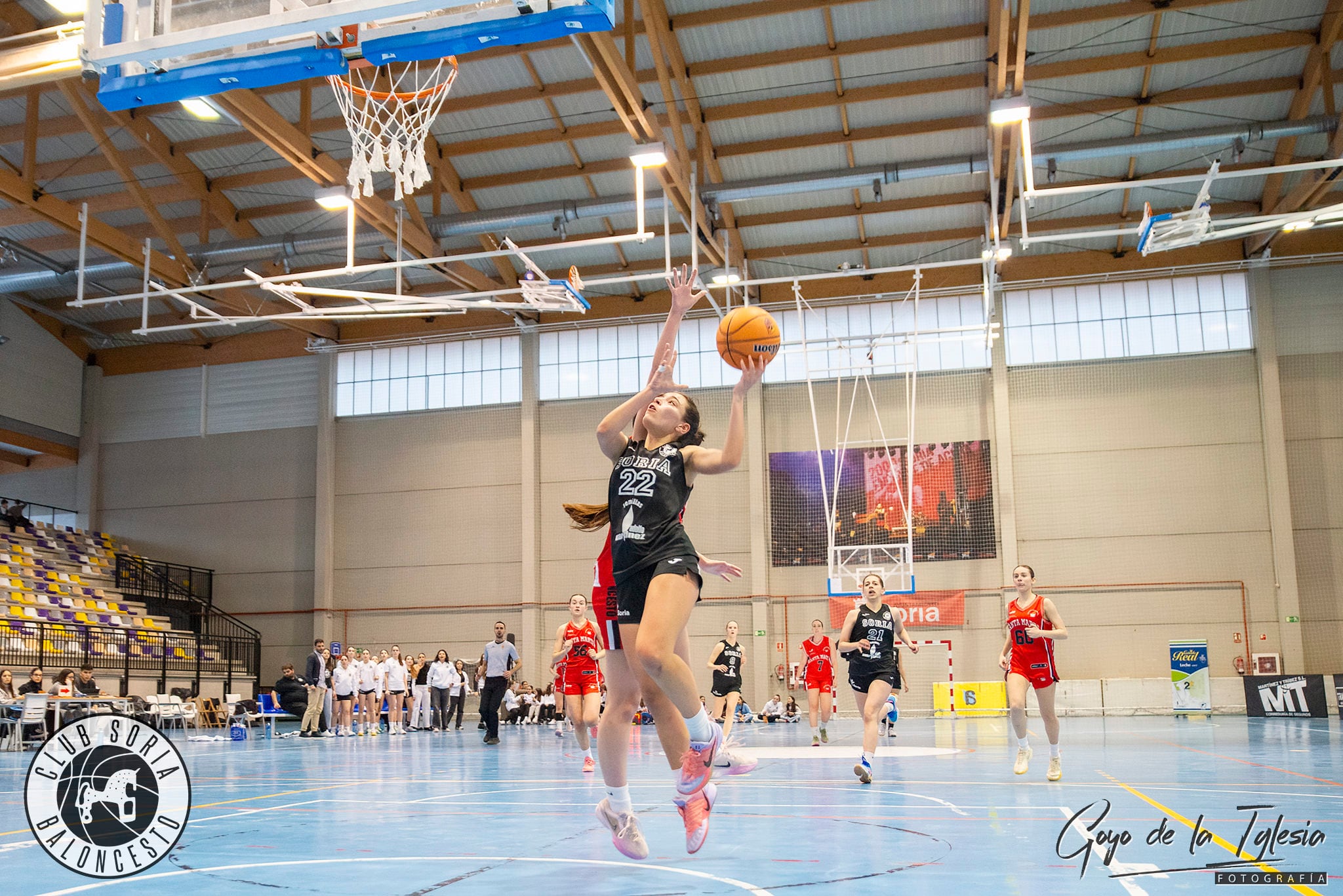 Victoria de quilates para el CSB Semillas Adolfo Martínez en pos de la permanencia.