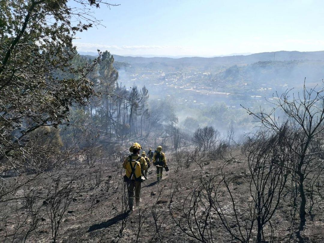 Los brigadistas rematan la operación sobre el terreno